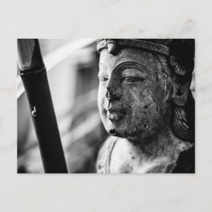 The Statue and the Snail photo postcard