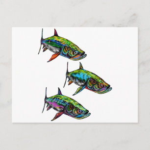 THE STEADY SCHOOL POSTCARD