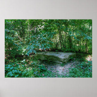 The Stone Bed Poster