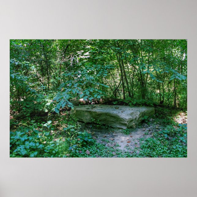 The Stone Bed Poster (Front)