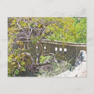 The Stone Bridge Postcard