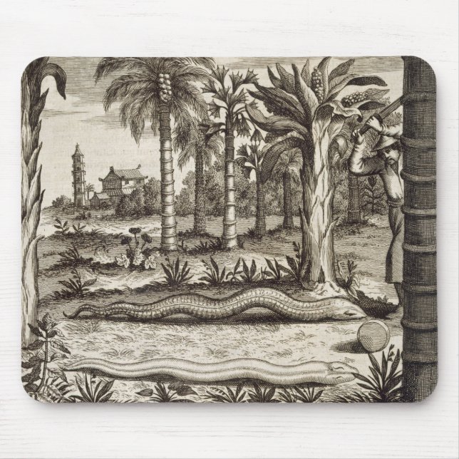 The Stone Snake, from 'China Illustrated' by Athan Mouse Mat (Front)