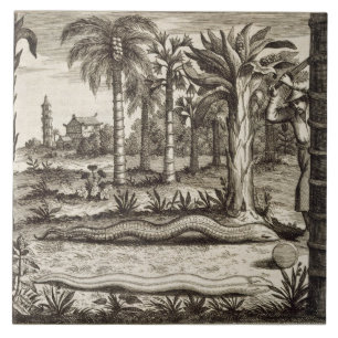 The Stone Snake, from 'China Illustrated' by Athan Tile