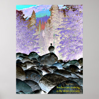 The stones you carry poster