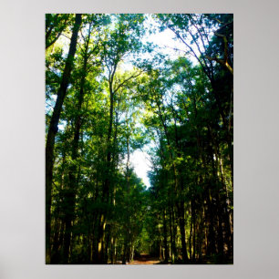 The Straight and Narrow Poster