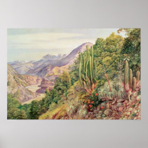 The Streams of Languenas in the Cordellera, Chile Poster