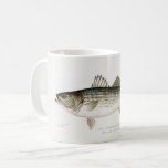 The Striped Bass Fisherman's Mug<br><div class="desc">Wonderful drawing of a Striped Bass repurposed on a mug for that fisherman in your life!</div>