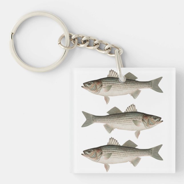 The Striped Bass Fishing Adventure Key Ring (Front)