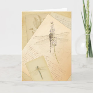 The Study of Dragonflies greeting card