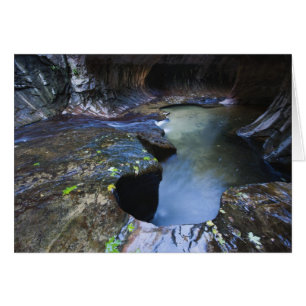 The Subway slot canyon