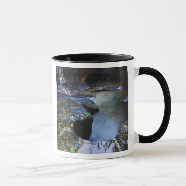 The Subway slot canyon Mug (Right)