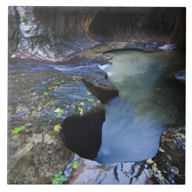 The Subway slot canyon Tile (Front)