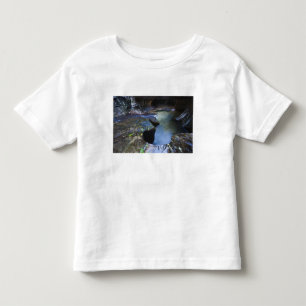 The Subway slot canyon Toddler T-Shirt
