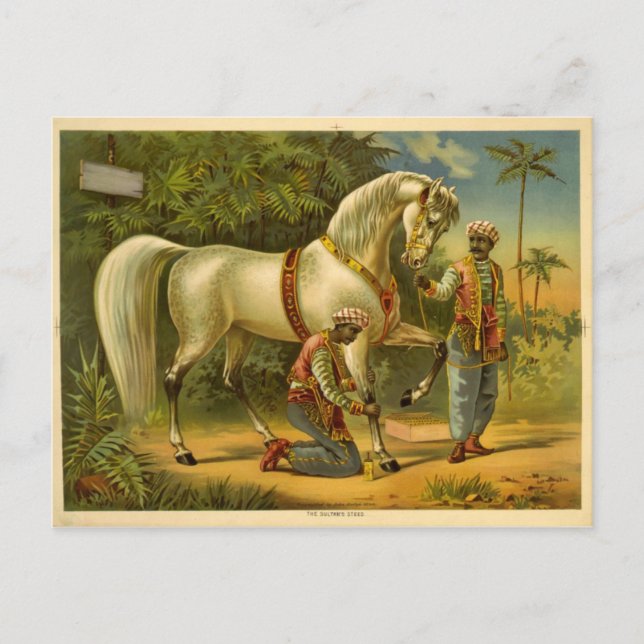 The Sultan's steed 2012 calendar Postcard (Front)