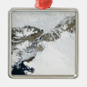 The summer thaw metal tree decoration