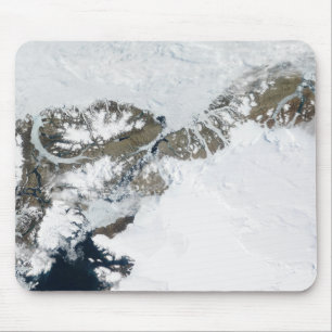 The summer thaw mouse mat