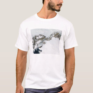 The summer thaw T-Shirt