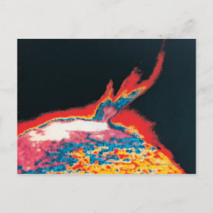 The Sun 5 Postcard