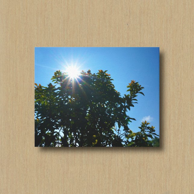 The Sun and Its Rays Over a Tree Canvas Print (Creator Uploaded)