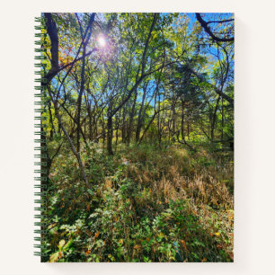 The Sun in the Trees College-Ruled Notebook