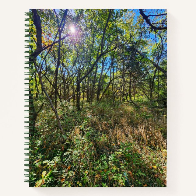 The Sun in the Trees College-Ruled Notebook (Front)