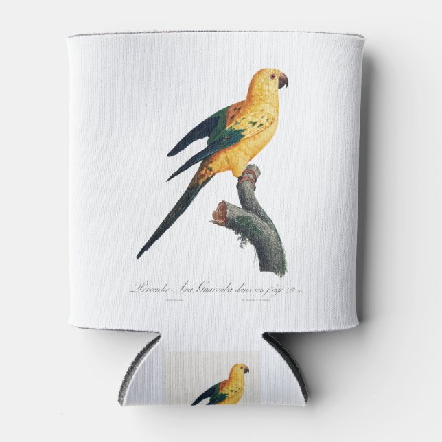 The Sun Parakeet, Aratinga solstitialis Can Cooler (Front)