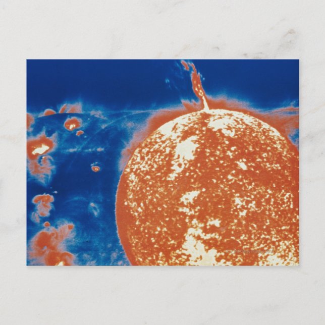 The Sun Postcard (Front)