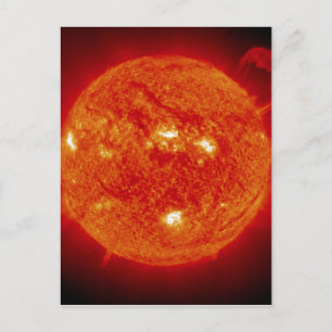 The Sun Postcard