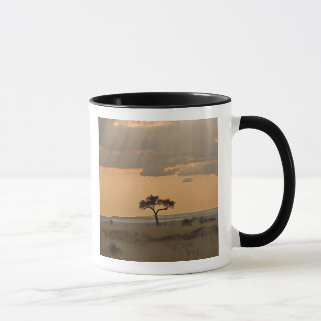 The sun rays lasering through the afternoon mug (Right)