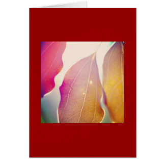 The Sun Shines Through the Leaves