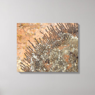 The Sun Talking Canyons, New Mexico Canvas Print