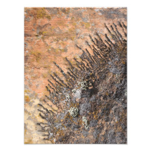 The Sun Talking Canyons, New Mexico Photo Print