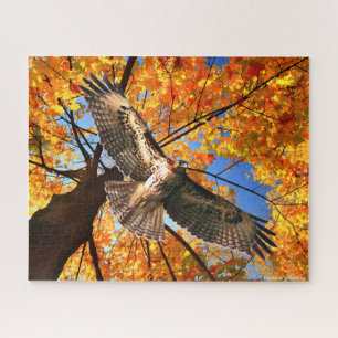 "The Sunday Hawk" Jigsaw Puzzle