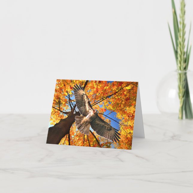 "The Sunday Hawk" Note Card (Front)