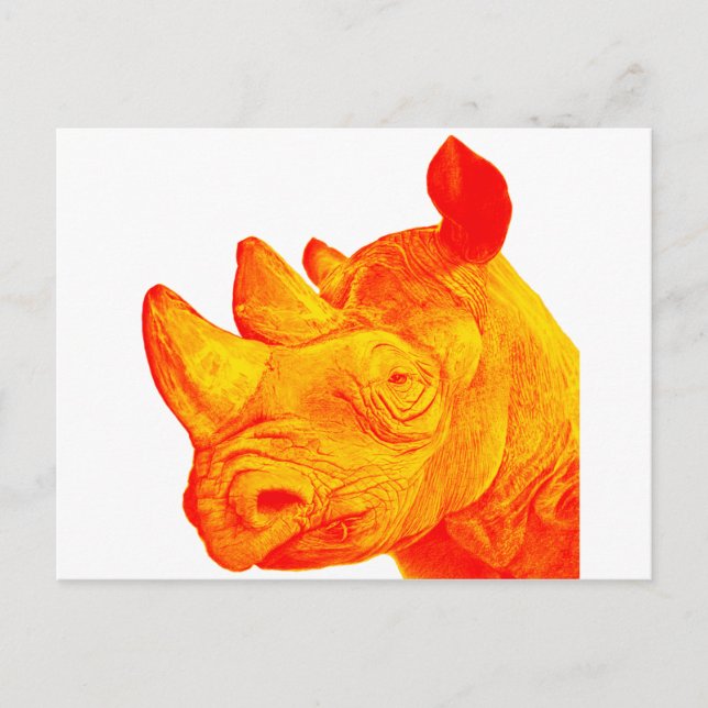 THE SUNNY RHINO POSTCARD (Front)