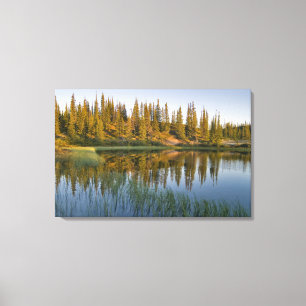 The sunrise illuminates trees on an unnamed canvas print