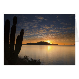 The sunrise over Isla Danzante in the Gulf of