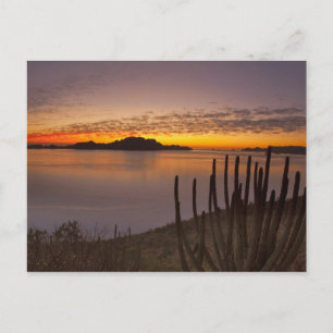 The sunrise over Isla Danzante in the Gulf of 2 Postcard