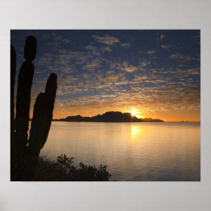 The sunrise over Isla Danzante in the Gulf of Poster