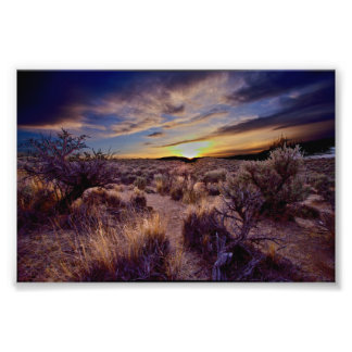 The Sunset Photo Print