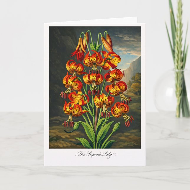 The Superb Lily — Modern Botanical Reinterpretatio Card (Front)