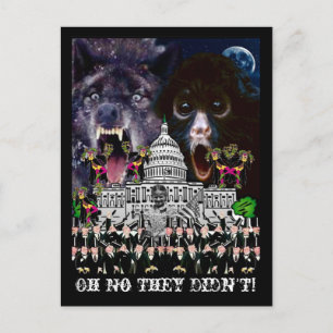 The Supreme Court Jesters Postcard