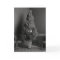 The Surreal Christmas Card