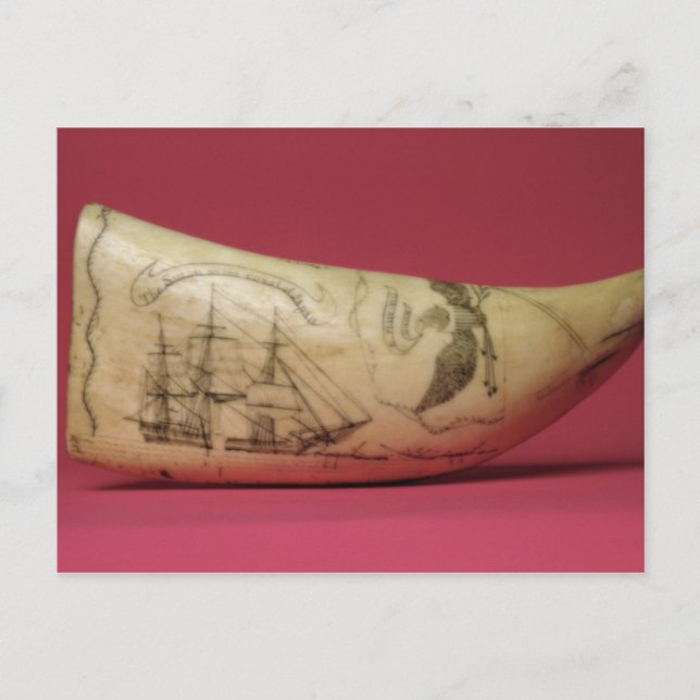 The Susan on the coast of Japan' Scrimshaw Postcard (Front)