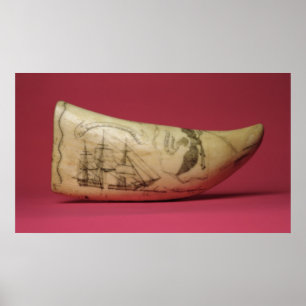 The Susan on the coast of Japan' Scrimshaw Poster