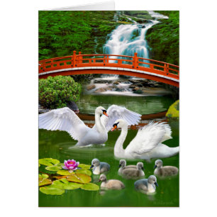 THE SWAN FAMILY