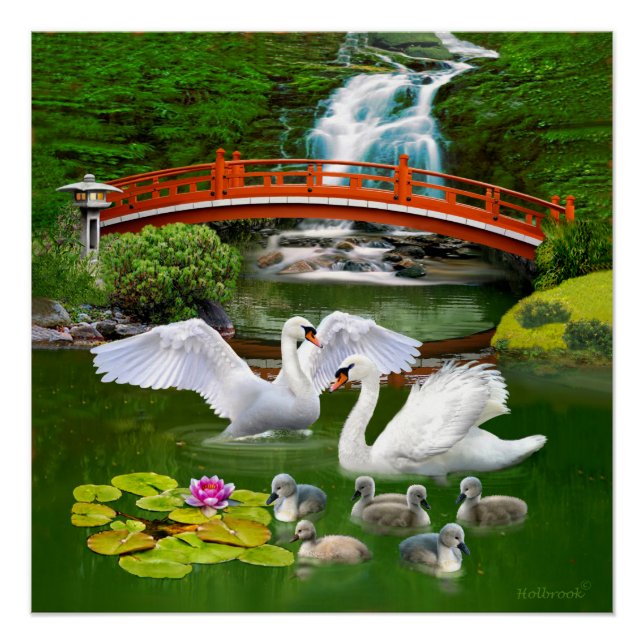 THE SWAN FAMILY POSTER (Front)