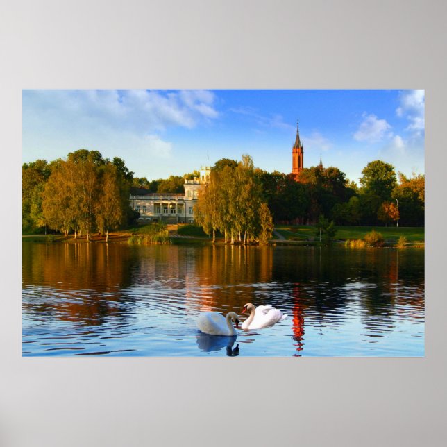 The Swan Lake Magic Poster (Front)