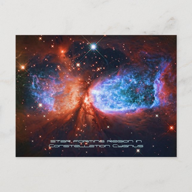 The Swan, Star Birth in Constellation Cygnus Postcard (Front)