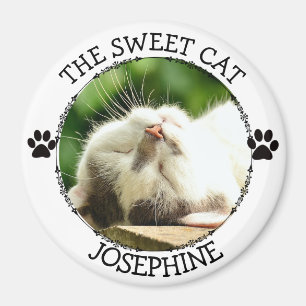 THE SWEET CAT: Humourous  Pawprints Photo Button Magnet